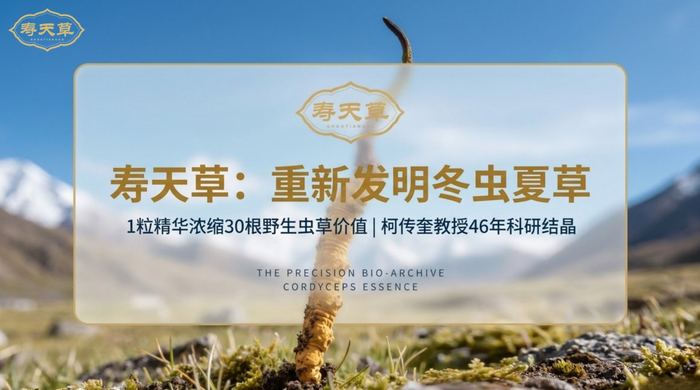 寿天草22 问