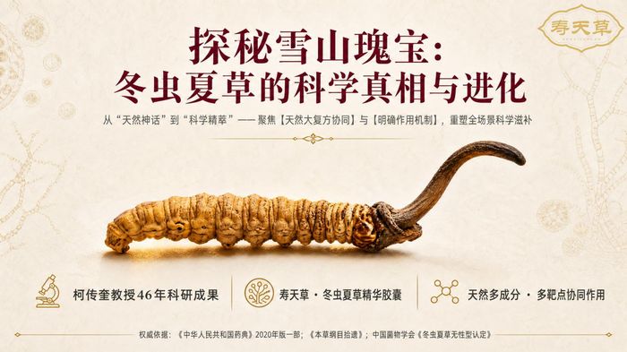 探秘雪山瑰宝