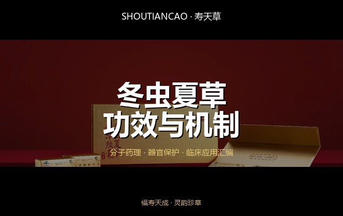 冬虫夏草功效与机制综合手册