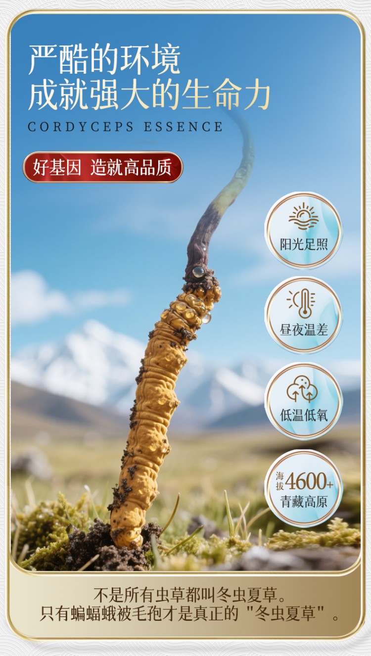 严酷的环境成就强大的生命力