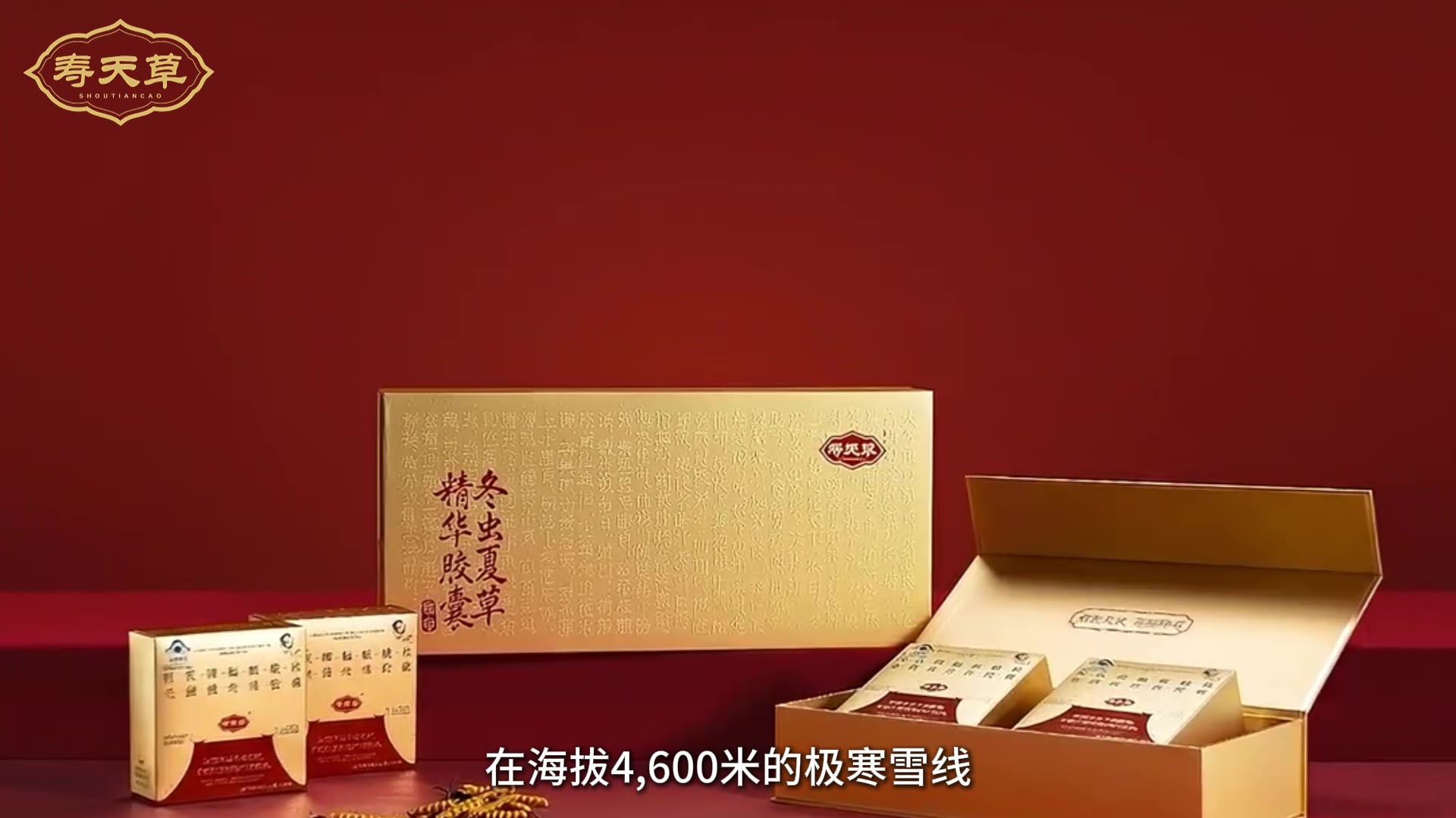 寿天草学习中心